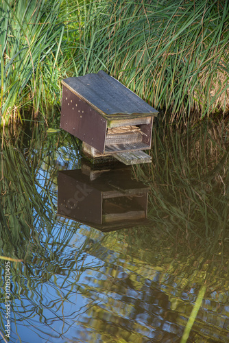 Duck Houses in the park, in Dahn,Germany