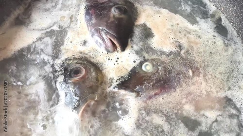 Boiling fish heads in pot, indoor Chiangmai Thailand.