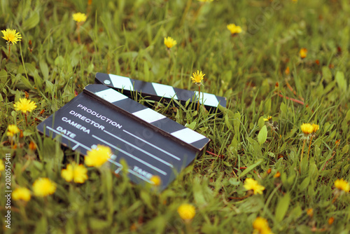 Film Slate Board in a Yellow Dandelions Garden. A professional cinema clapperboard symbolizing creativity in nature