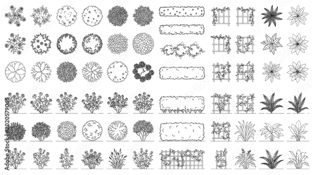 Fototapeta Botanical Blueprint: A meticulously drawn collection of various trees, shrubs, and floral arrangements, perfect for architectural plans or landscape designs. CAD Blocks Architectural Icon Sheet Vector