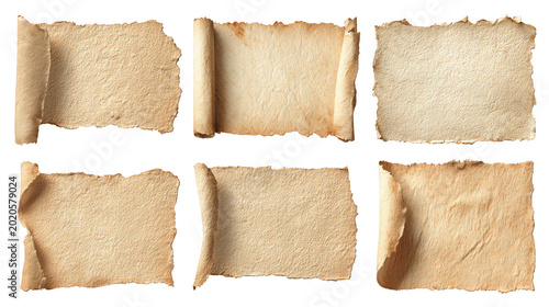 Torn paper pieces isolated