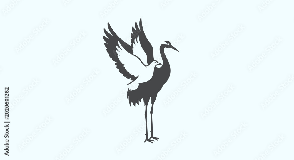 Fototapeta premium Large Black and White Bird Standing.