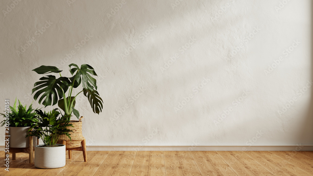 Fototapeta premium Minimalist empty white wall background with indoor plants and wooden floor for product presentation mockup- 3D rendering