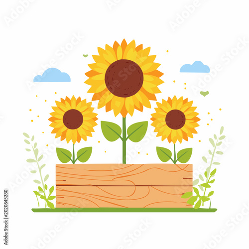 Three Sunflowers Growing in a Wooden Planter Box