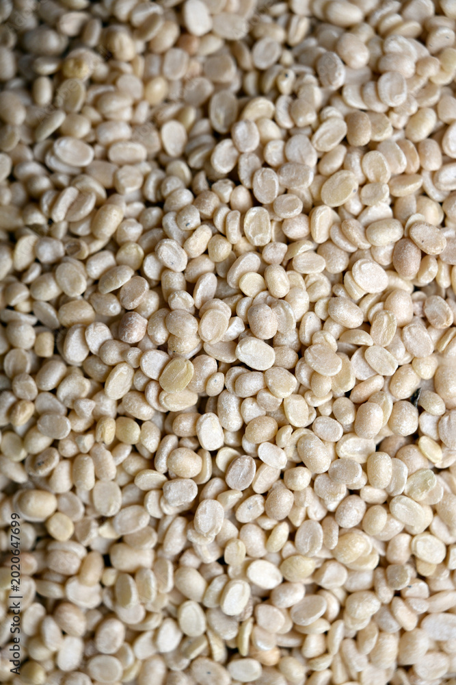 Fototapeta premium Vertical Split Urad Dal Texture with Defocus Background Macro Lentil Food Photography