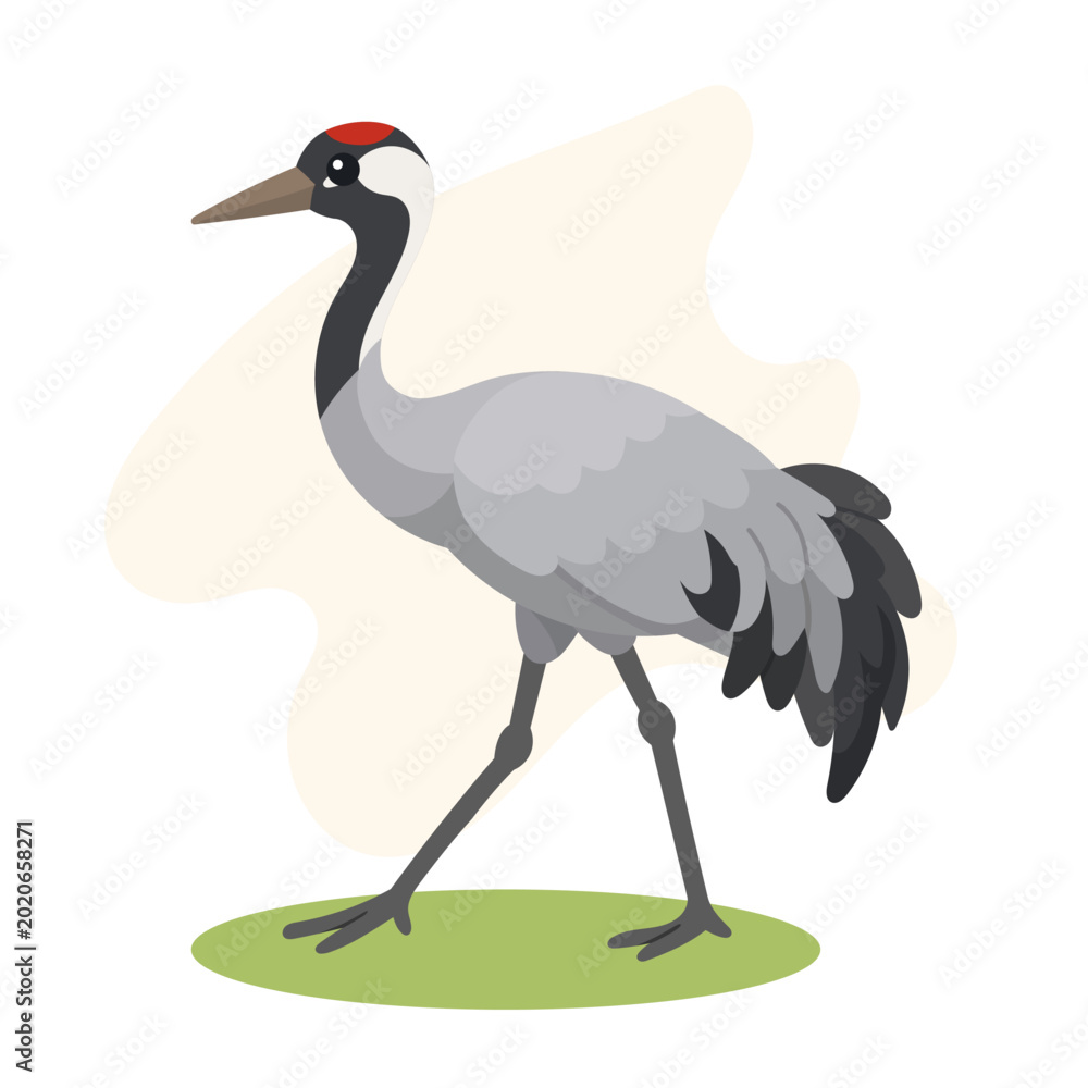 Fototapeta premium Common crane in minimal flat vector style, common crane isolated with elegant natural shapes for wildlife illustration art