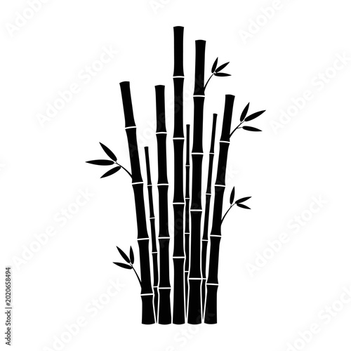 Black Silhouette of Bamboo Stalks with Leaves on White Background