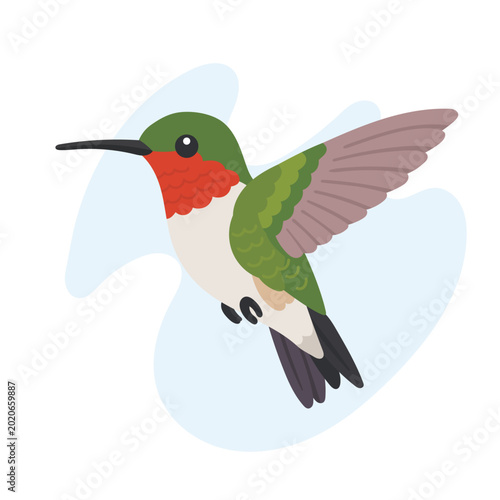 Ruby-throated hummingbird flying in minimal flat vector style, Ruby-throated hummingbird isolated with vibrant wildlife illustration