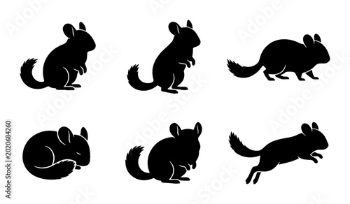 Tableau sur toile Chinchilla Silhouettes: Vector Icons of Rodent Poses, Cute Pet Animal Graphics,