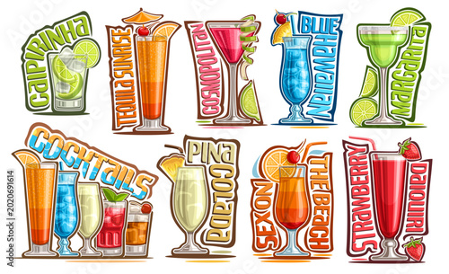 Vector Cocktails Set