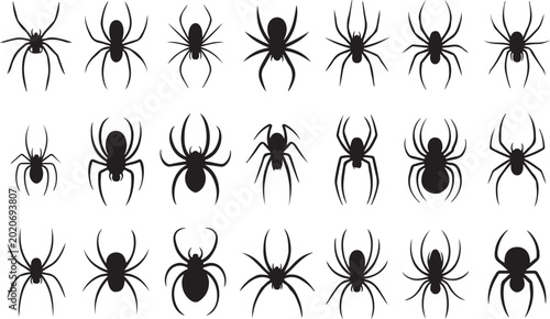 Fotografie Silhouettes of a black predatory spiders