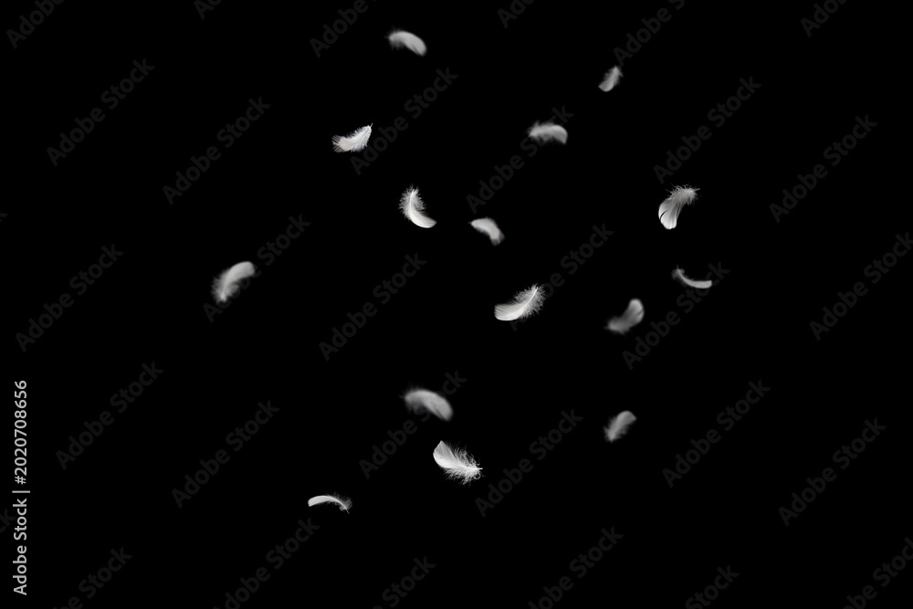 Foto Soft White Feathers Falling in The Dark