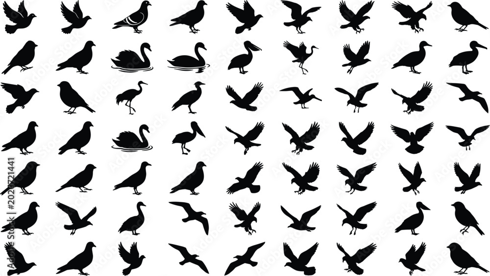 Fototapeta premium Collection of flying and standing bird silhouettes featuring pigeons, crows, swans and eagles isolated vector set