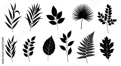 Collection of botanical leaf silhouettes