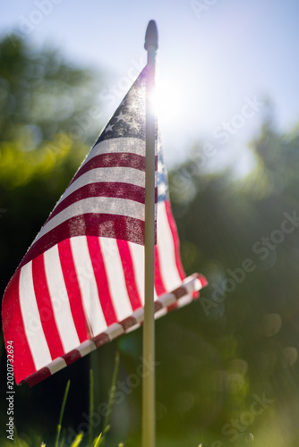Memorial Day - flags at a military cemetery
