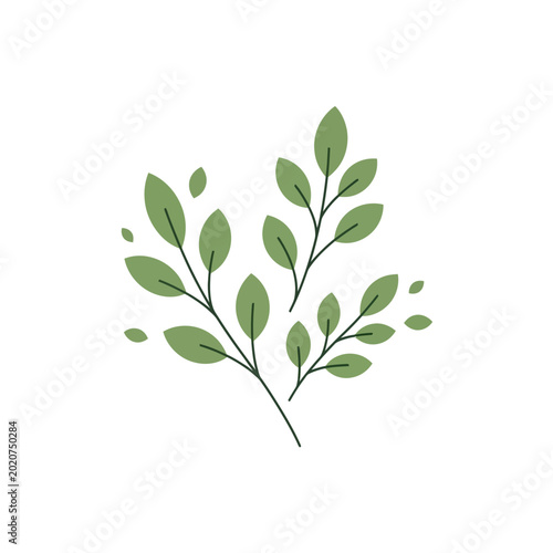 Minimalist Green Leaves Branch Design