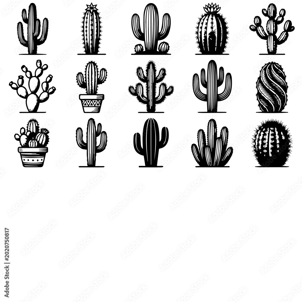 Fototapeta premium Black and White Cactus Silhouette Illustration Set