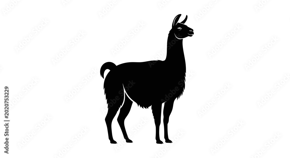 Fototapeta premium Black Llama Silhouette Vector Illustration