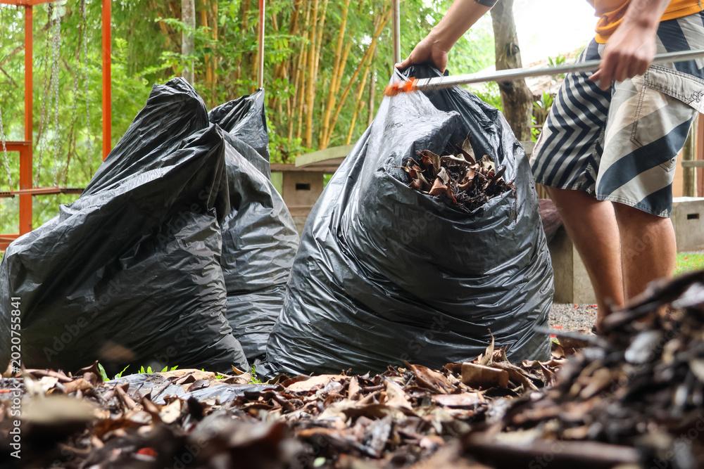 Ταπετσαρία Focused diligent person sweeping dry leaf into black plastic trash bag during outdoor garden maintenance