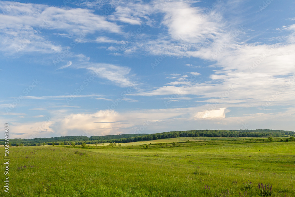 Obraz premium Summer landscape with green meadows and sky