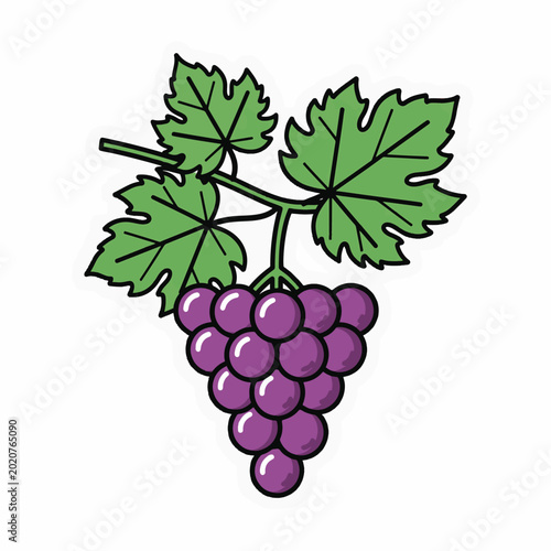 Grape bunch with green leaves for fresh produce or health theme