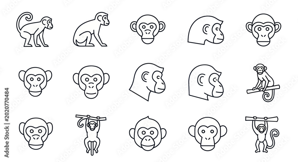 Fotografie Monkey Icon Set: Various Poses and Views, Line Art Collection