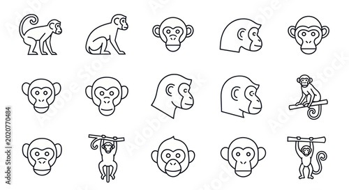 фотографія Monkey Icon Set: Various Poses and Views, Line Art Collection