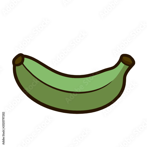 green banana vector illustration