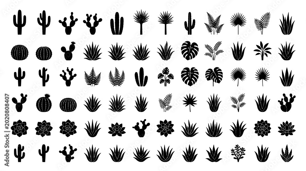 Obraz premium Plants illustration set with various cacti and succulents in black and white featuring botanical, nature, desert with flora and vegetation elements