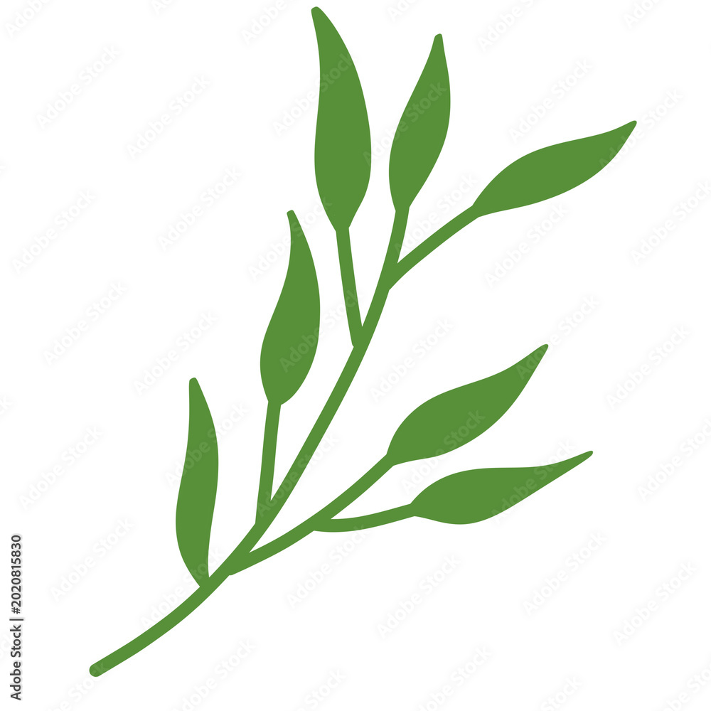 Fototapeta premium Broad Green Leaf Branch Graphic for Tropical Jungle Themes
