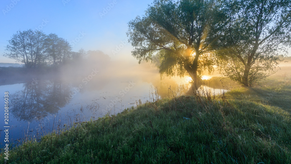 Αυτοκόλλητο A serene morning landscape featuring a misty river, lush green grass, and golden sunlight streaming through the branches of trees