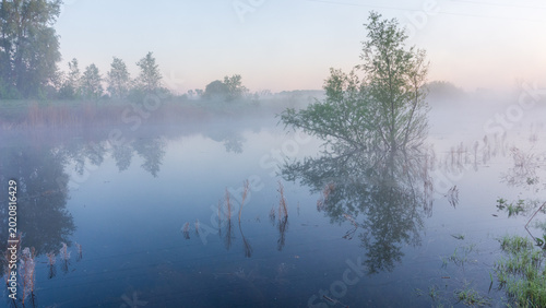 Cuadro en lienzo A serene landscape of a misty lake at dawn with a lonely tree reflecting in water