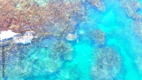 Photos Aerial drone view of a sea turtle swimming in crystal-clear turquoise water near Liuqiu Island, Taiwan
