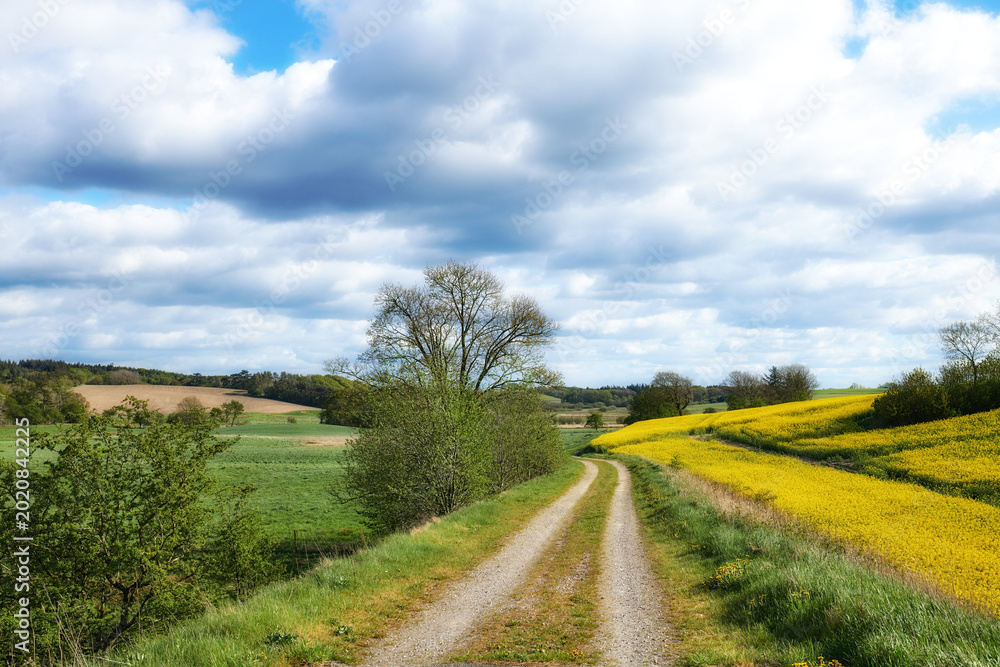 Obraz premium Spring, clouds or gravel road landscape in nature for natural tourism, agricultural field or scenery. Countryside, sky and scenic route in farm environment for travel, green foliage and mockup space