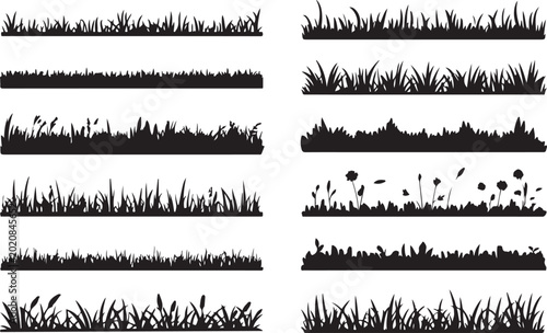 Fotografie Black and white grassy hillside landscape with flowers