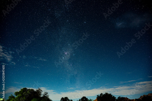 Starry Night Sky Above Treeline, Faint Milky Way