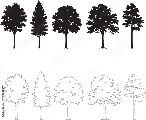 Black tree silhouettes and outline icons set, collection of 10 deciduous and coniferous tree vector elements, forest plant shapes for landscape design