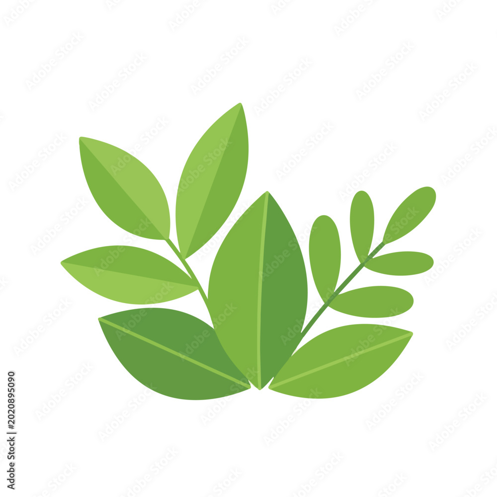 Fototapeta premium Green leaves on white background for nature and ecology designs