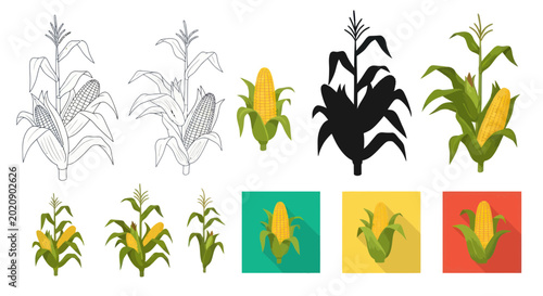 Obraz na płótnie Corn Plant Varieties: Illustrations, Silhouette, and Flat Icons