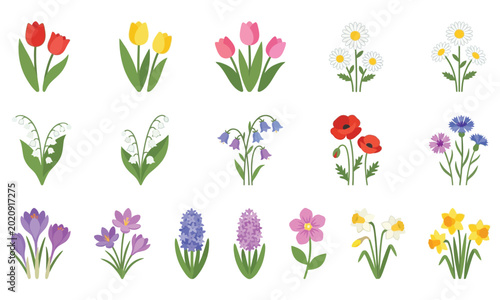 Foto Set of spring flowers isolated on white background
