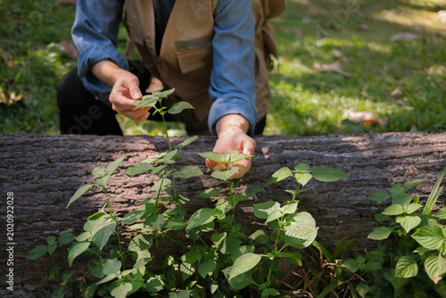 Фотография Female botanist collects leaf and grass data in outdoor field for sustainability