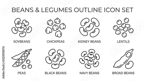 Outline icon set featuring various types of beans and legumes, including soybeans, chickpeas, kidney beans, lentils, peas, black beans, navy beans, and broad beans.