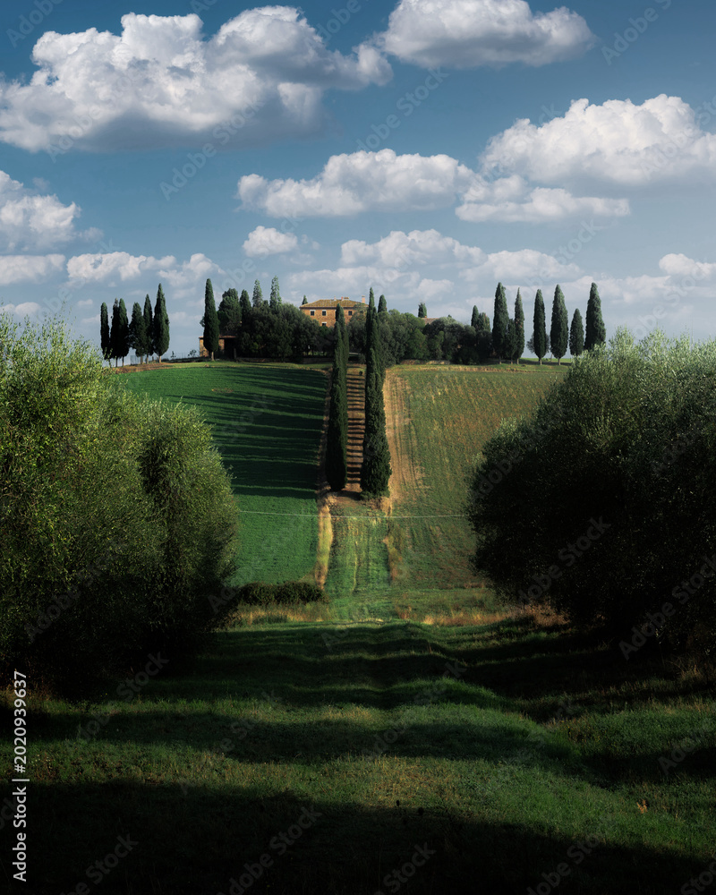 Fototapeta premium Tuscany rolling hills landscape with old farmouse in spring, Val d'Orcia, Italy 