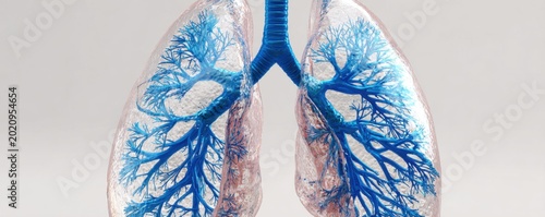 Artistic representation of human lungs with blue bronchi and airways.