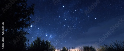 Starry Night Sky Over Silhouetted Trees and Distant Lights.