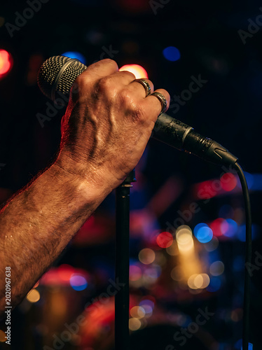 Holding the Mic: An evocative close-up of a hand gripping a microphone, illuminated by the stage lights, conveying the passion and anticipation of a performance.