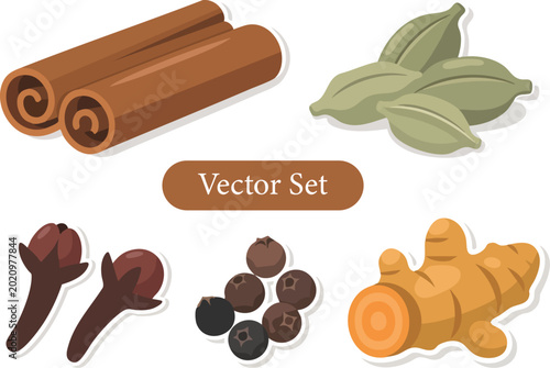 spice set, spice bundle, mixed spices, culinary ingredient collection, seasoning pack, food vector set, kitchen herbs, botanical elements, isolated graphics, eps illustration