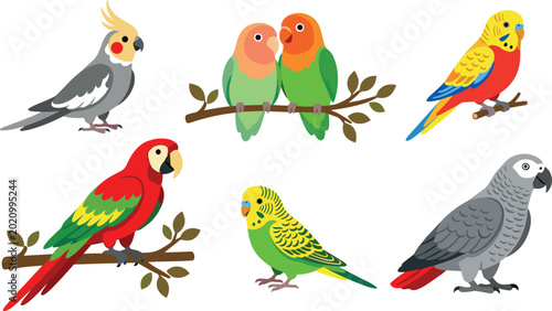 Bild auf Leinwand Colorful Collection of Six Different Parrot Species Including Macaw Cockatiel L