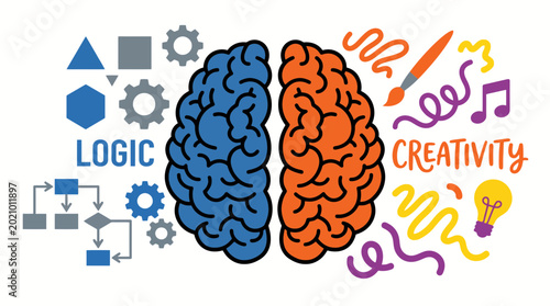 Foto Human Brain Hemispheres Logic Creativity