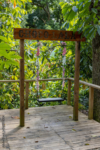 Photography A flower-adorned swing in the middle of a chocolate plantation in Palmar Grande, Dominican Republic
